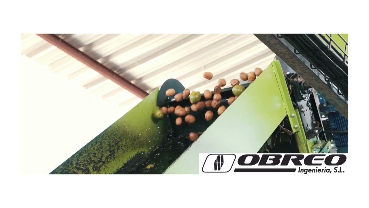 L&iacute;nea de despelonado de nueces OBREO