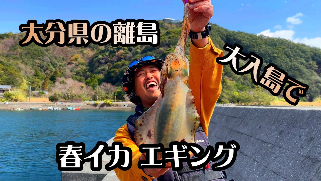 春イカ エギング!! 大分県の離島、大入島でアオリイカを狙う!!