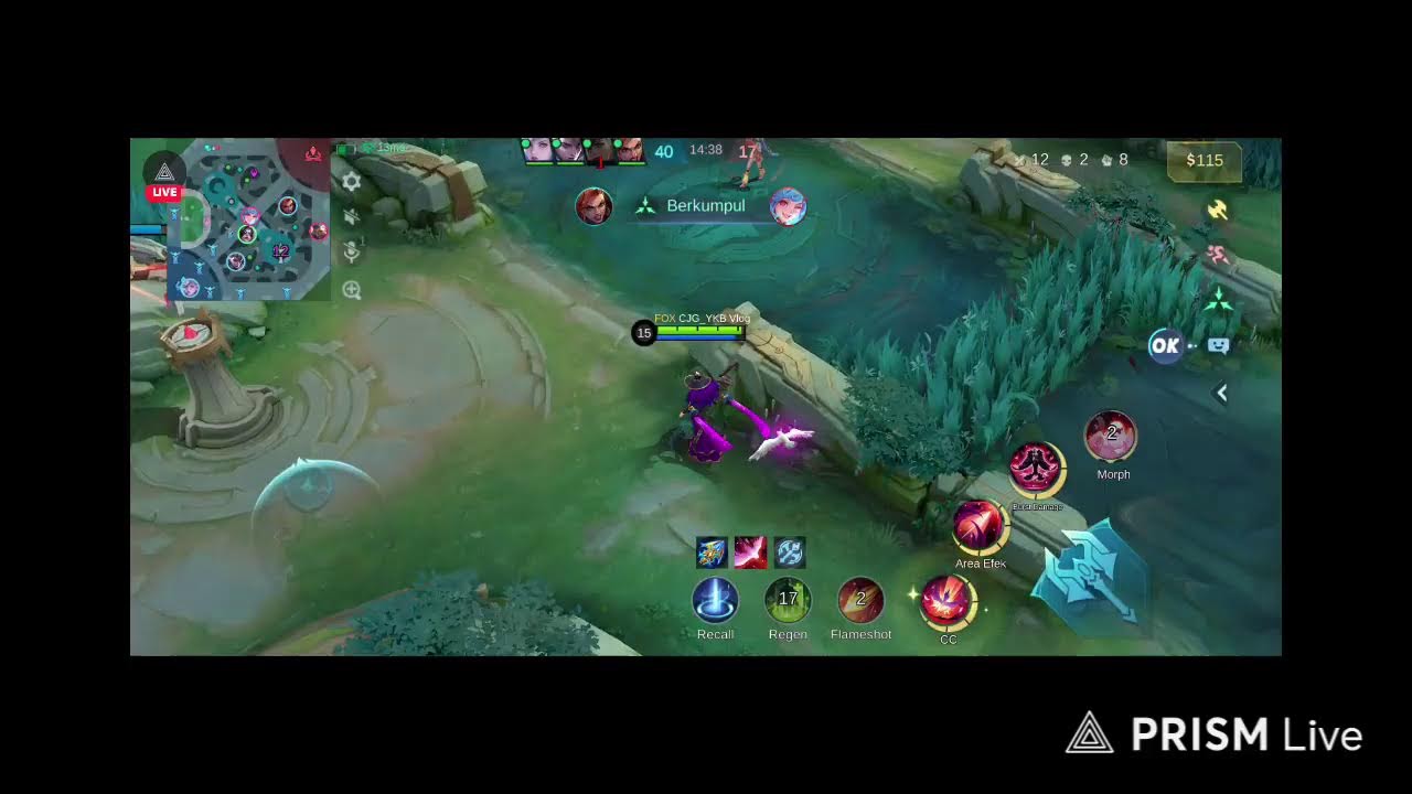 Siaran langsung CJG_YKB Gaming