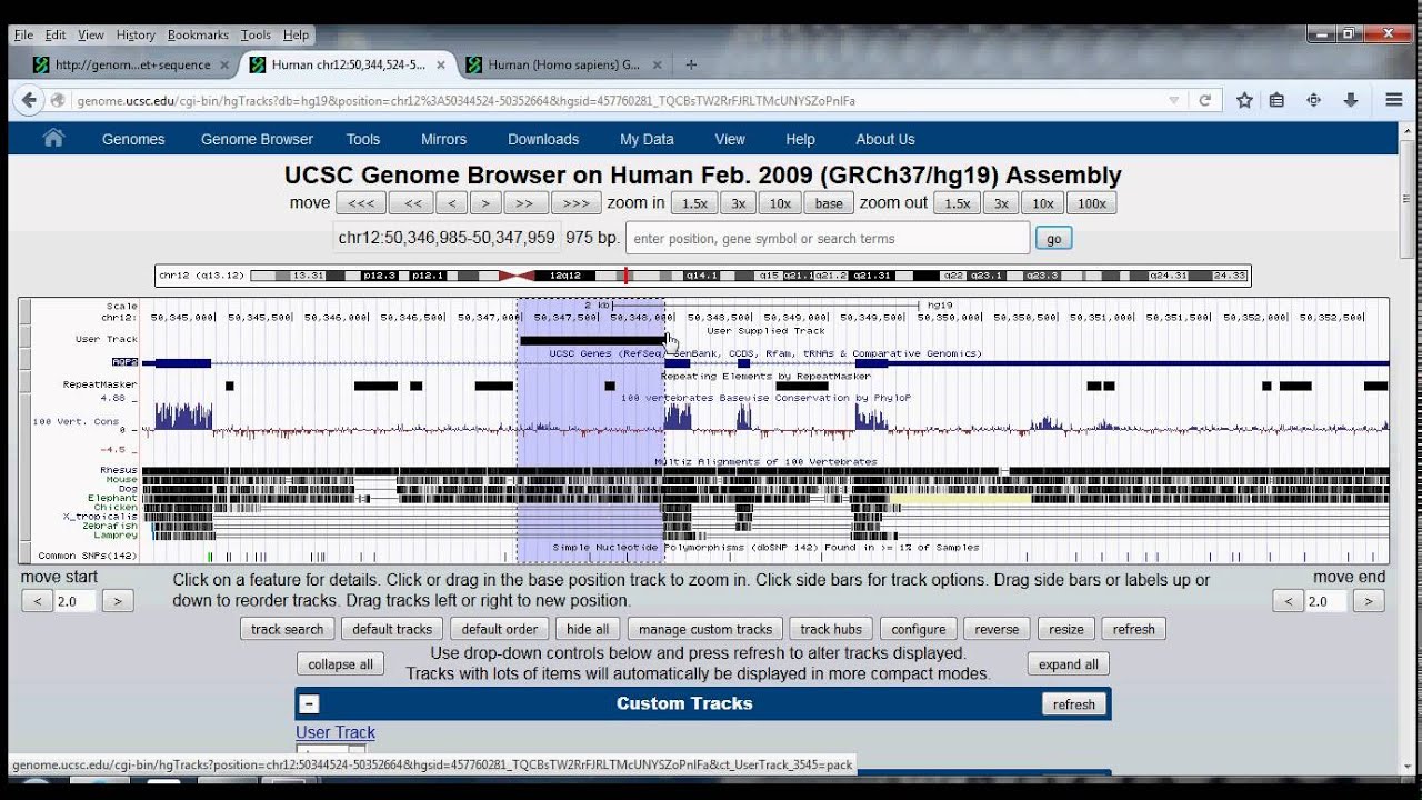 4. UCSC Genome Browser Tutorial: table browser