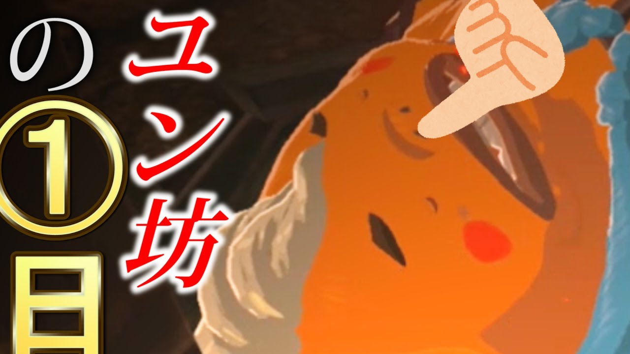 ユン坊の一日に密着してみた（１日何をしているのか？）【ゼルダの伝説ブレスオブザワイルド】検証　実況