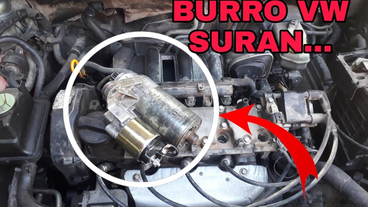 burro vw suran 😎👍