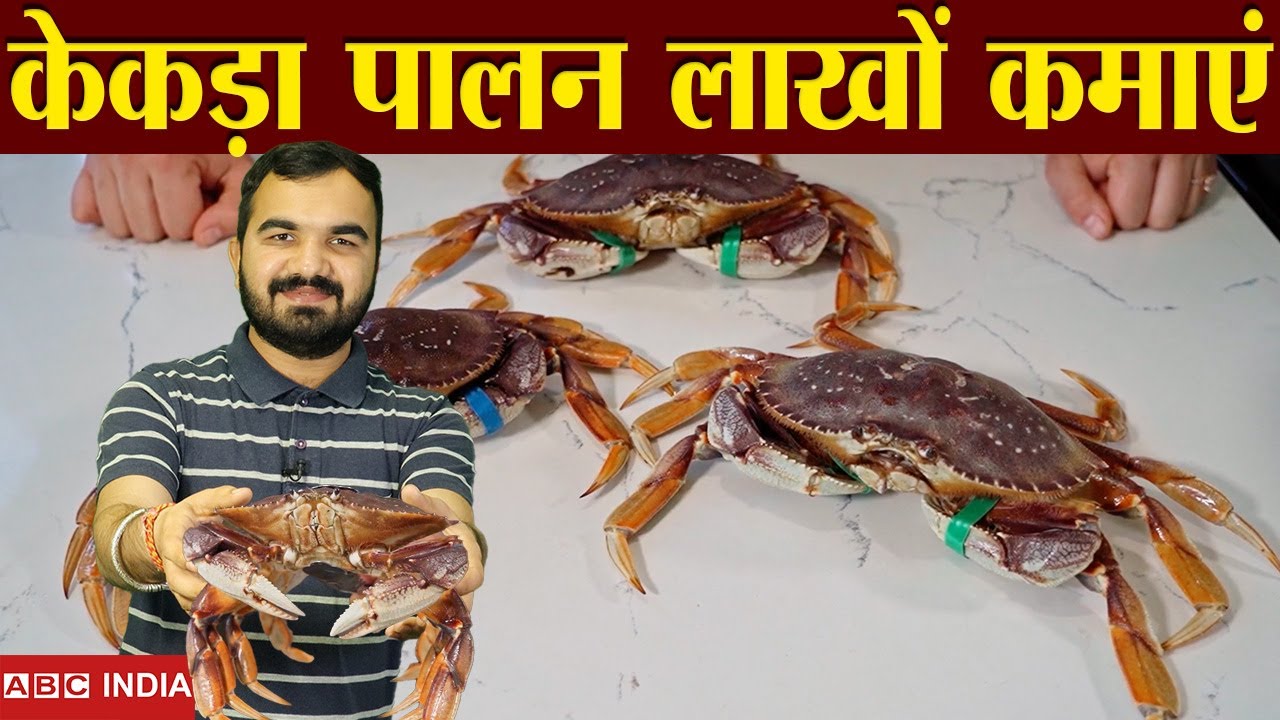 केकड़ा पालन | कमाई वाली खेती | Crab Farming | Crab Cage farm | kekda palan | livestock farming