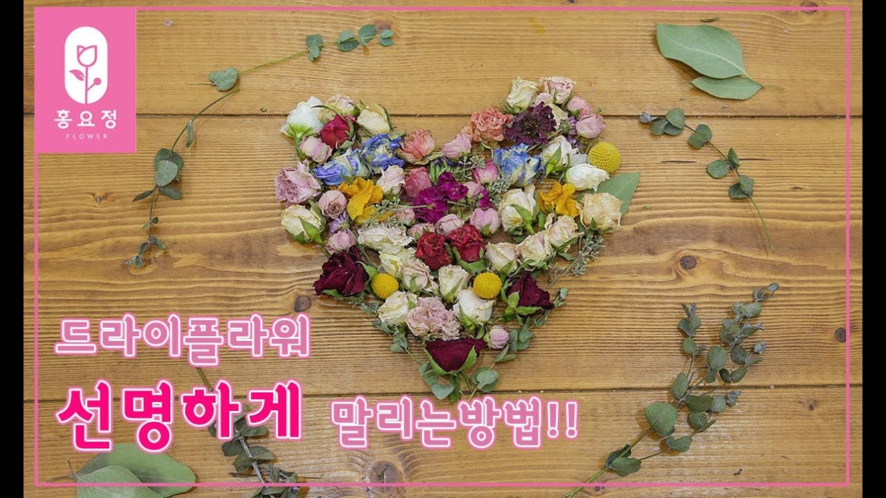 [꽃꽂이_플라워레슨]插花,花 드라이플라워 선명하게 말리는 방법! how to dry flower?