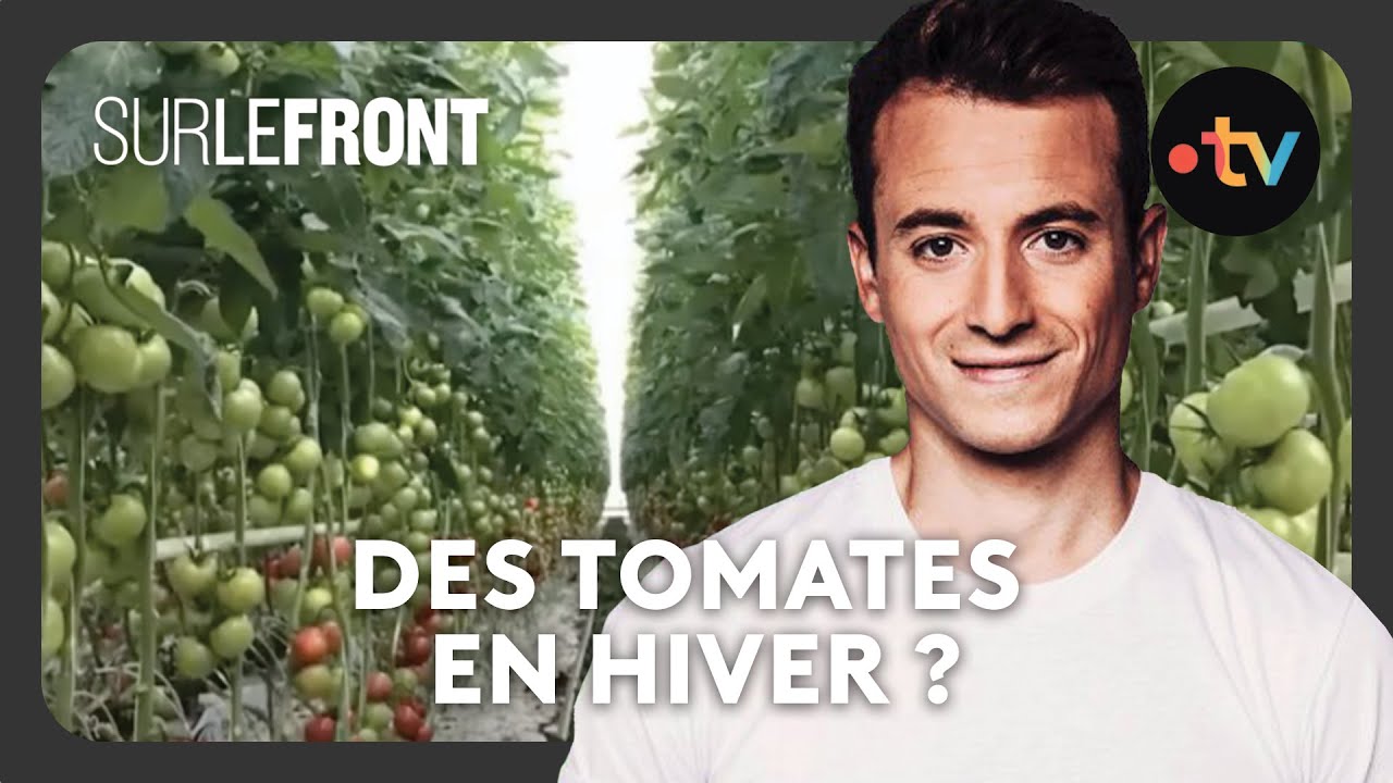 Des tomates en hiver - HVE: le label qui tue le bio ?-Sur le front avec Hugo Clément 3 juillet 2023