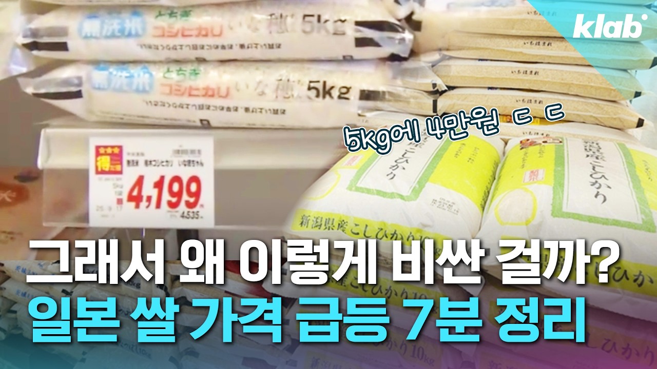 쌀 가격 폭등했다는 일본, 진짜 얼마나 심각한 건지 현지 교민에게 물어봄｜크랩