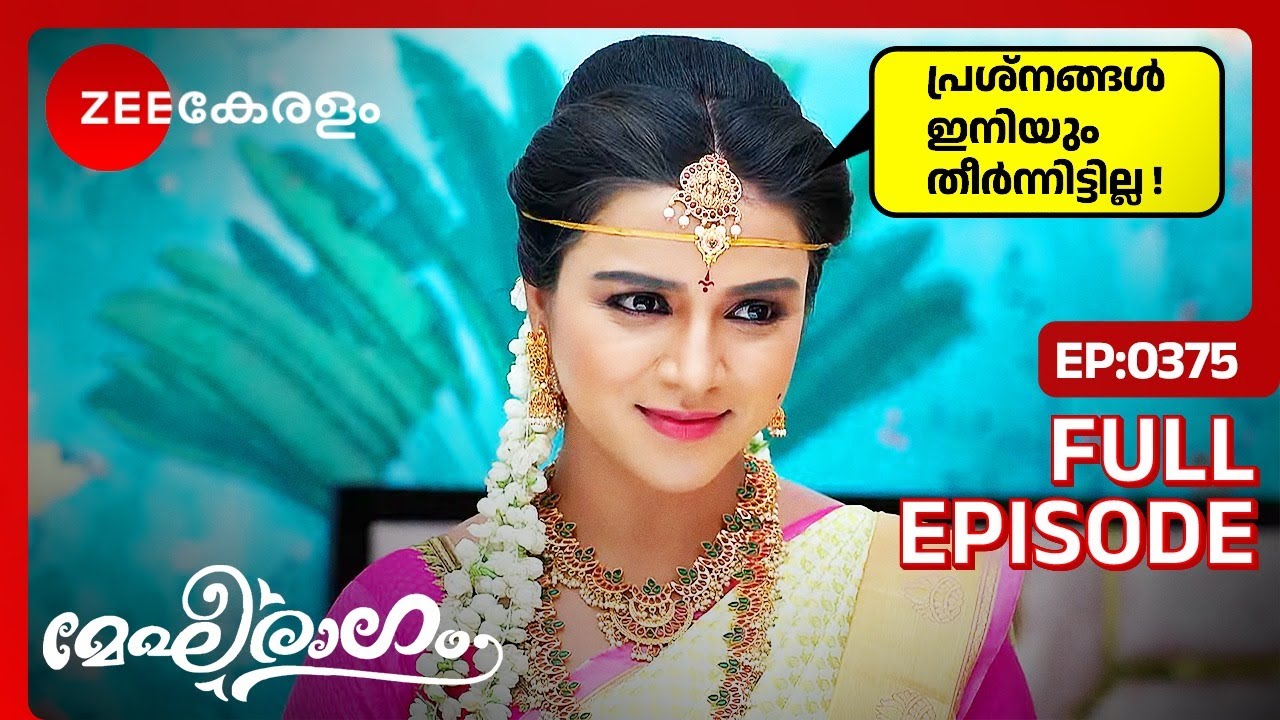 മേഘ്‌നയും മിഥുനും ഒന്നിക്കുമോ? | full episodes | Full Ep. 375 | ZEE Keralam