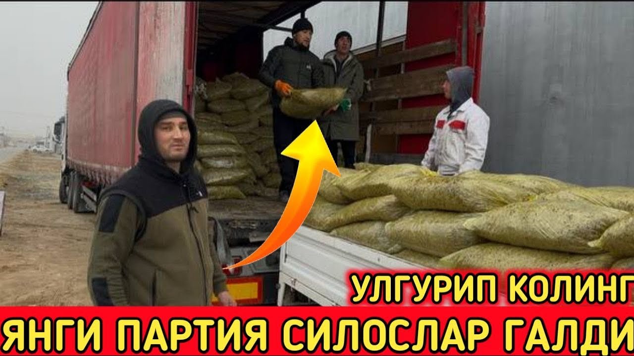 📍БОГОТ ТУМАН ЯНГИ ПАРТИЯ ОПТИМ СИЛОСЛАР ГАЛДИ УЛГУРИП КОЛИНГ!!!КОБУЛОВ