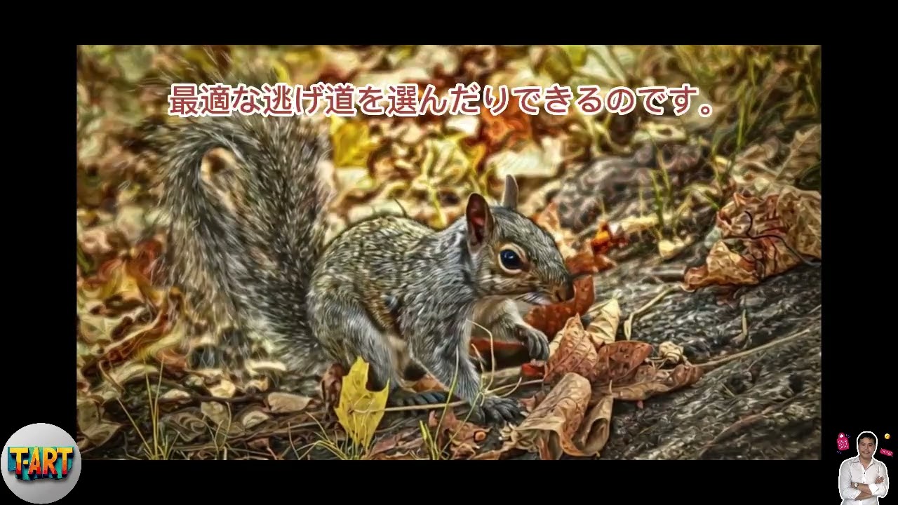 リスの反射神経の速さに関する科学的な事実