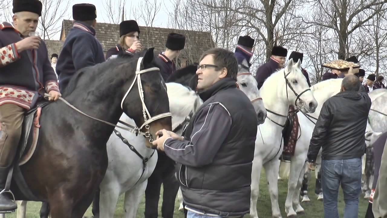 4. Pokladno jahanje u Piškorevcima (reportaža) - Piškorevci 2016