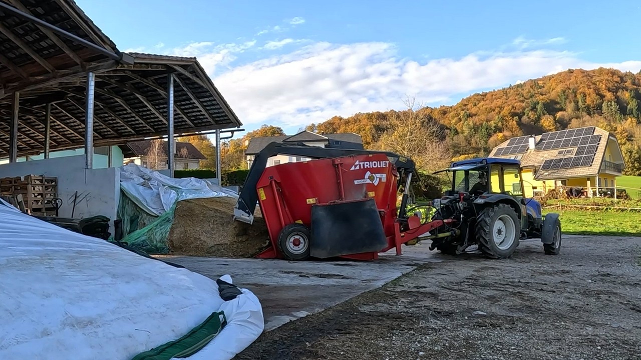 Odd Jobs & Farm Chores