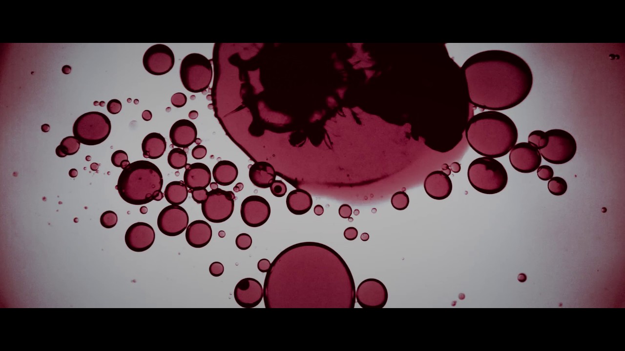 12EEK Monkey - Kanalisatsioon (official video)