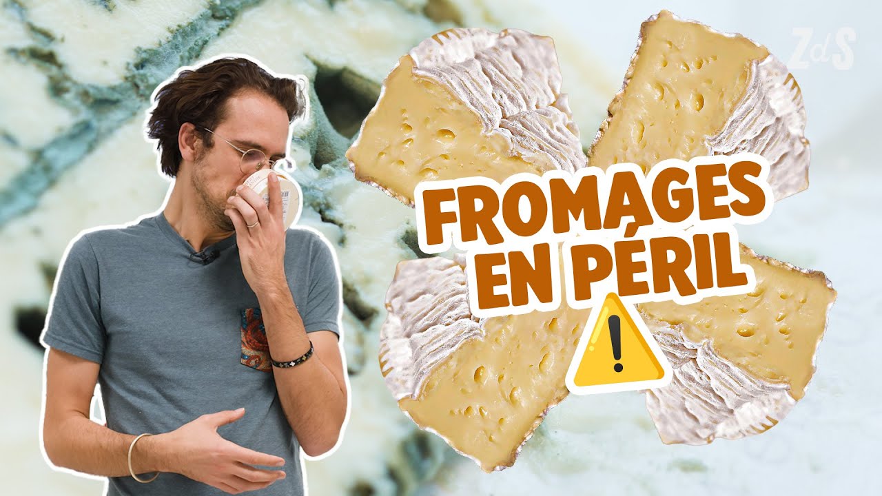 La mort du camembert ?? 🧀 | Va Savoir #09