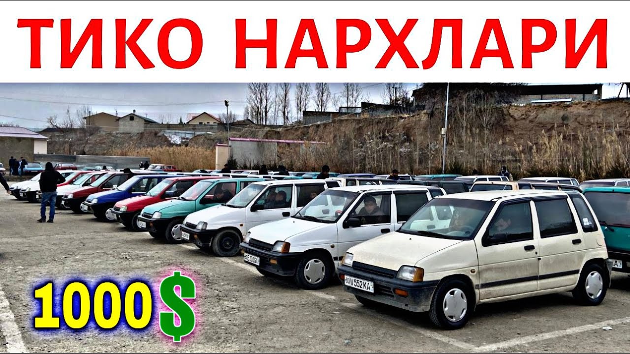 TICO NARXLARI 2025 ТИКО НАРХЛАРИ 2025.SAMARQAND MOSHINA BOZORI 2025.TIKO NARXLARI 2025