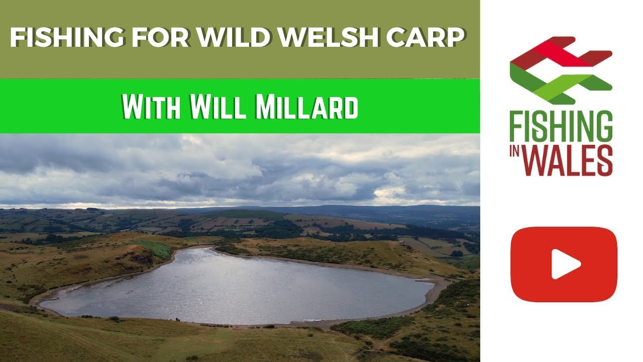 Fishing for Wild Welsh Carp with Will Millard