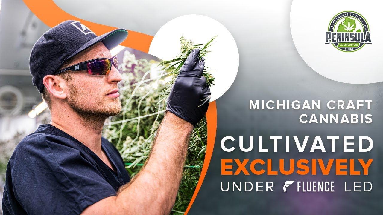 Fluence Innovator | Peninsula Gardens Produces Craft Cannabis in Michigan