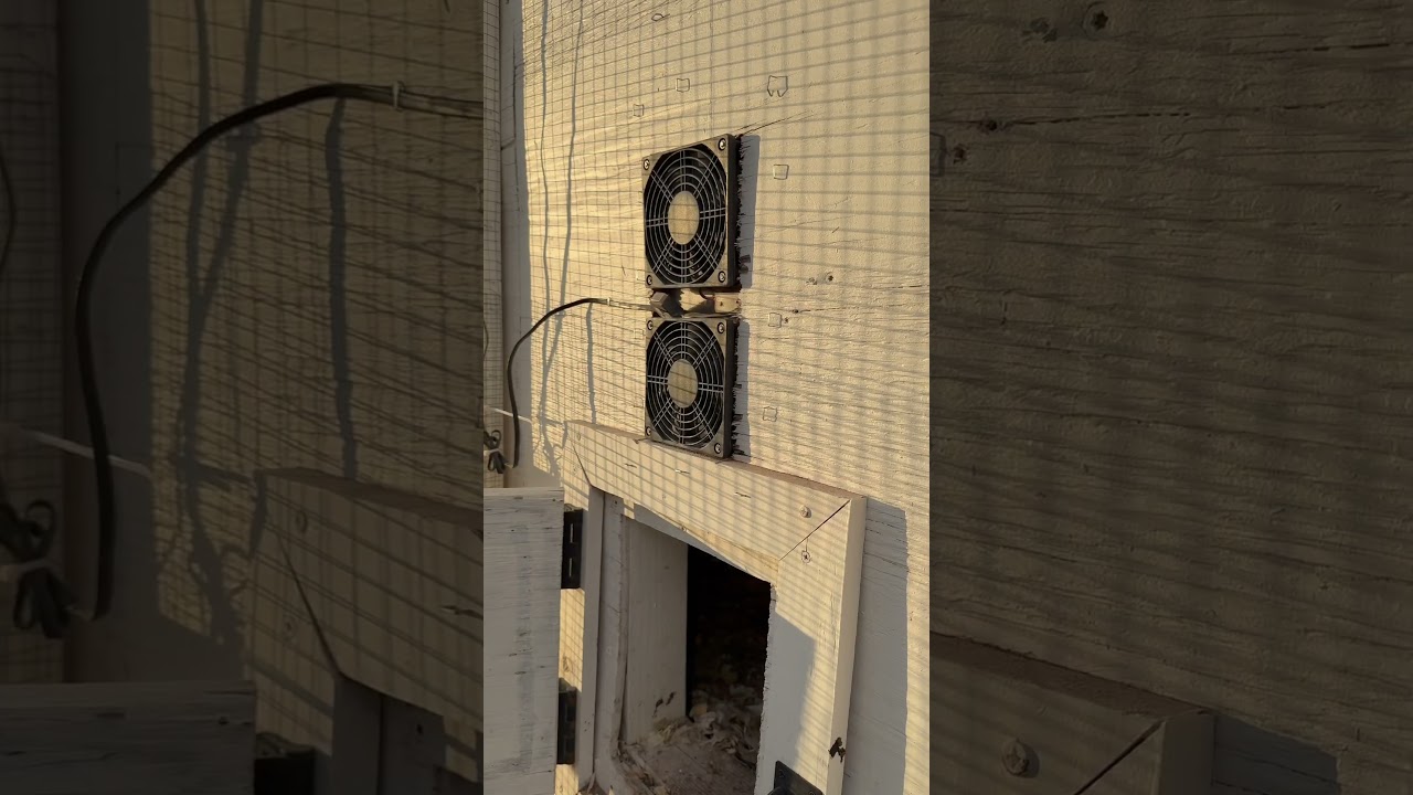 Well ventilated but not drafty DOES sound like an oxymoron&hellip; #chickens #chickencoop #winterchickens