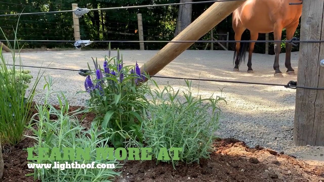 Lighthoof Barn Makeover Episode 5 : Before and After