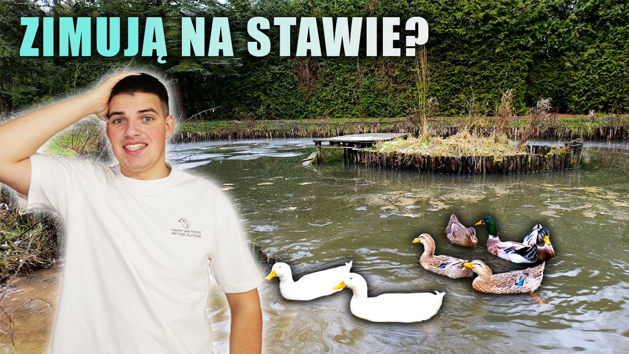 MYŚLAŁEM ŻE JUŻ PO KACZKACH... Zbieramy jaja od...