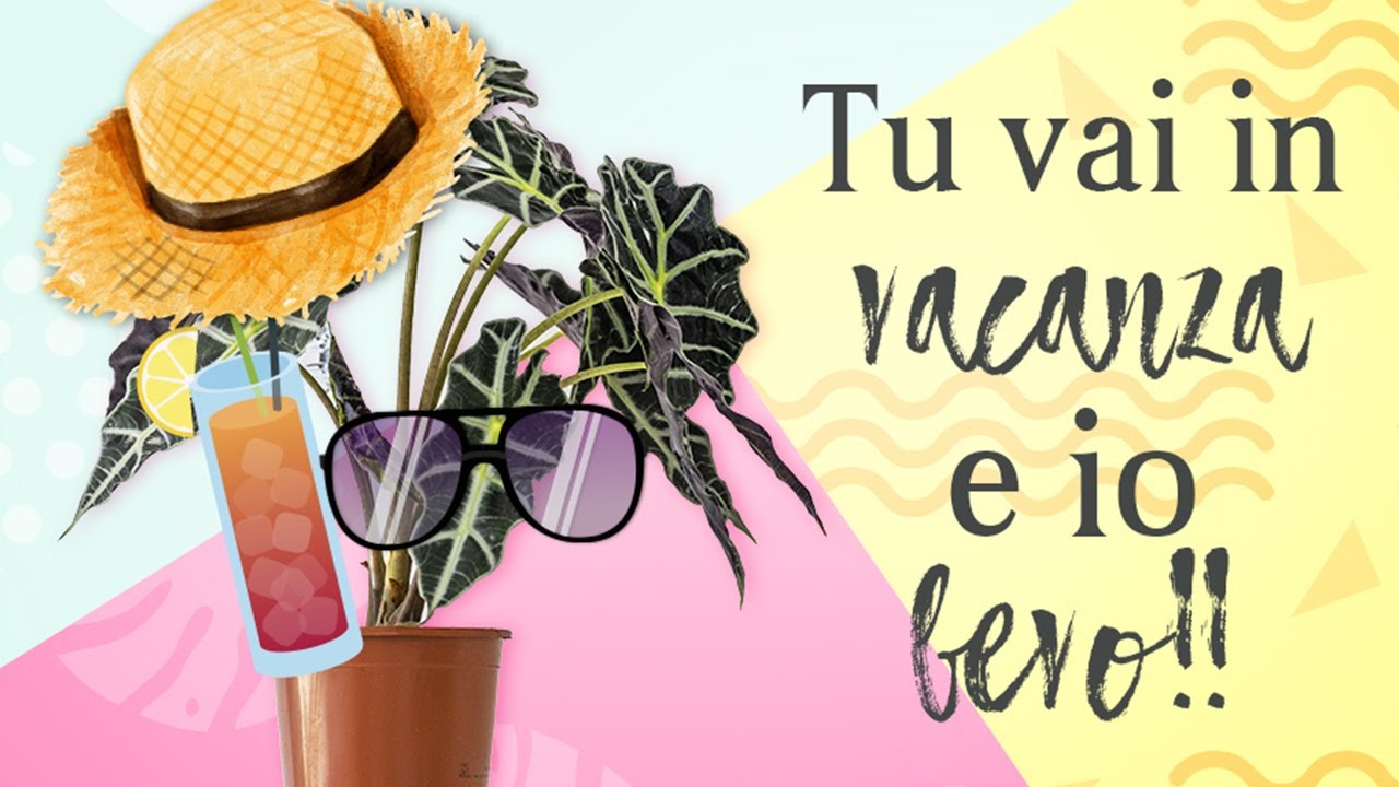 Piante e vacanze, come fare per non farle morire di sete!