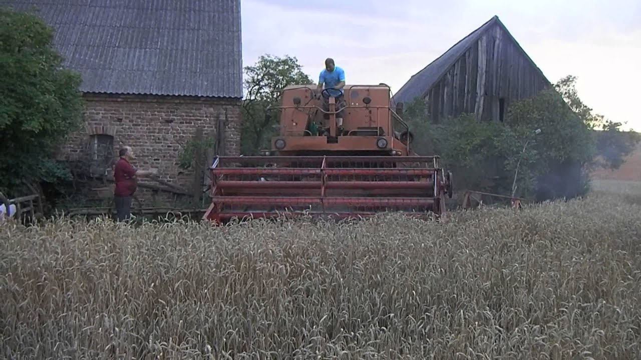 Bolesław&oacute;w 24 - żniwa 2015 z Bizon Z056