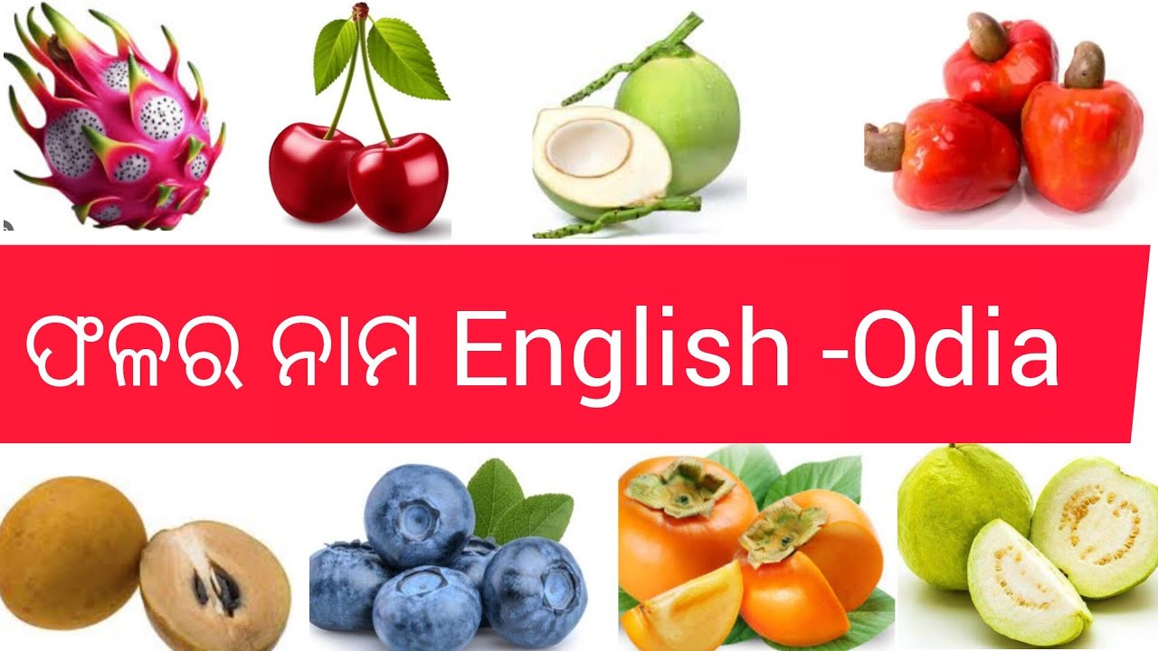 Top 40 Fruits Name  English To Odia//Fruits Name