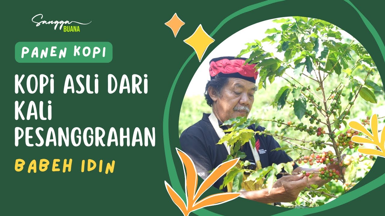Babeh Idin | Siapa Bilang Kopi Gak Bisa Tumbuh di Jakarta!?
