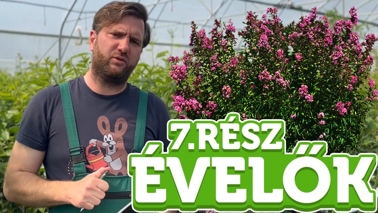 Mit tegy&uuml;nk az &Aacute;LOMKERT&Eacute;RT?  - 7. r&eacute;sz | Megyeri Szabolcs