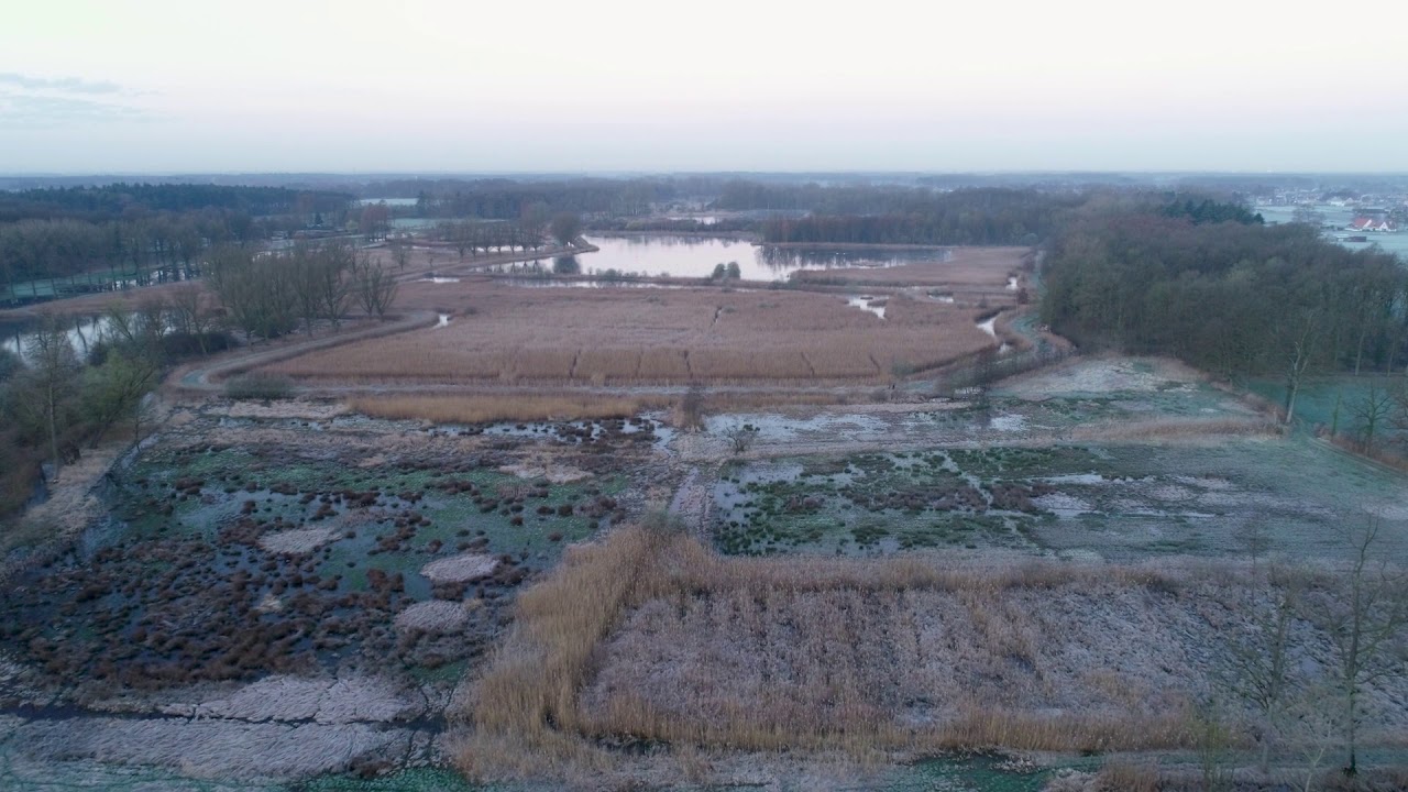Lovenhoek -  Aflevering 2  Moeras en broekbos