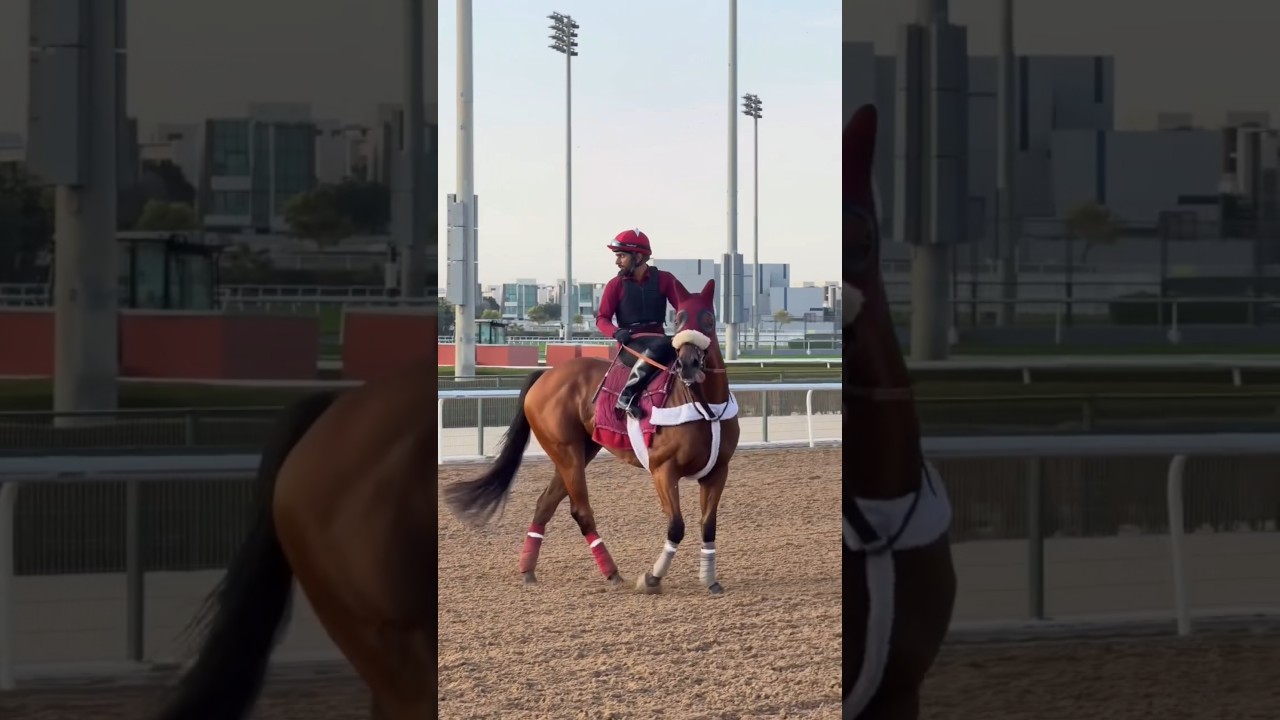 Day1/365 in Dubai 🇦🇪 