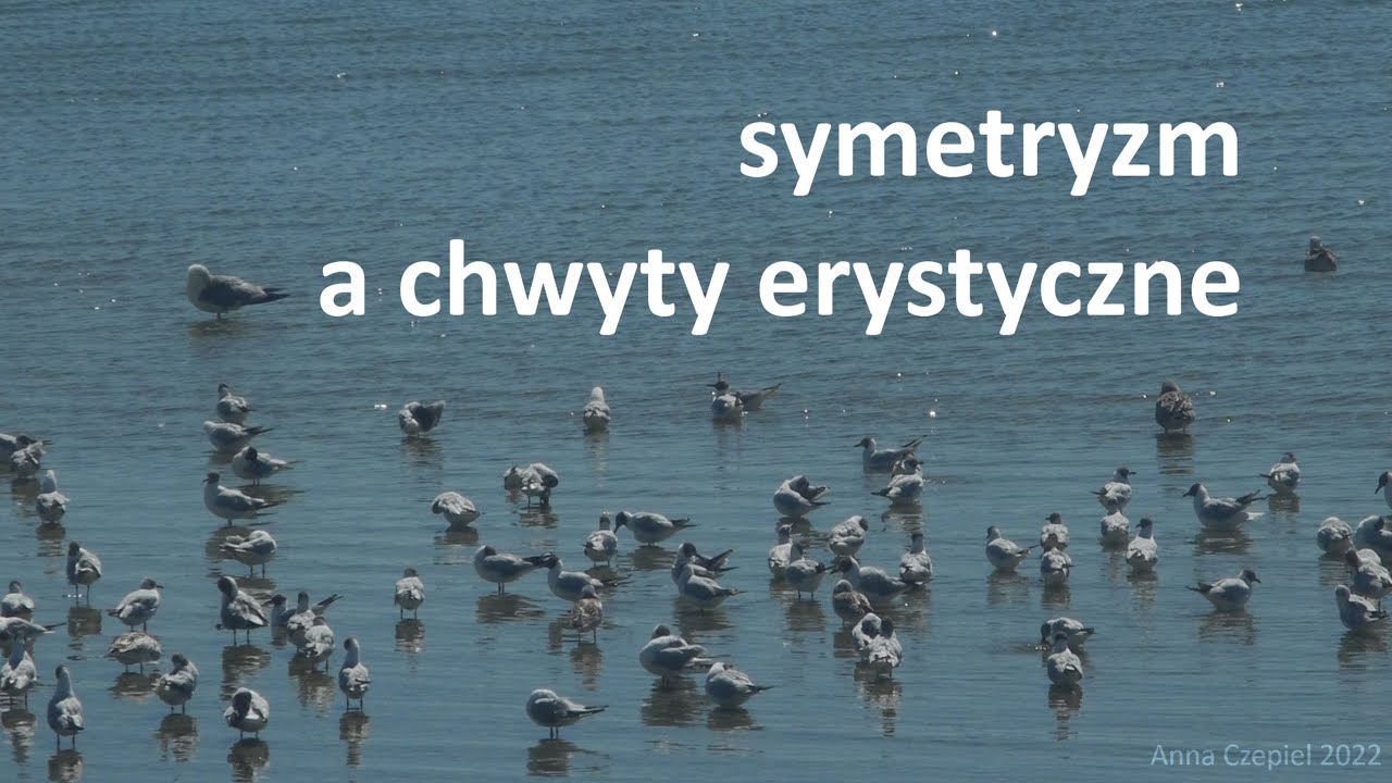 Jak odr&oacute;żnić dobry symetryzm od chwytu erystycznego?