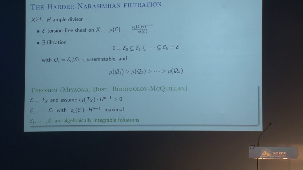 Positivity and algebraic integrability of holomorphic foliations &ndash; Carolina Araujo &ndash; ICM2018