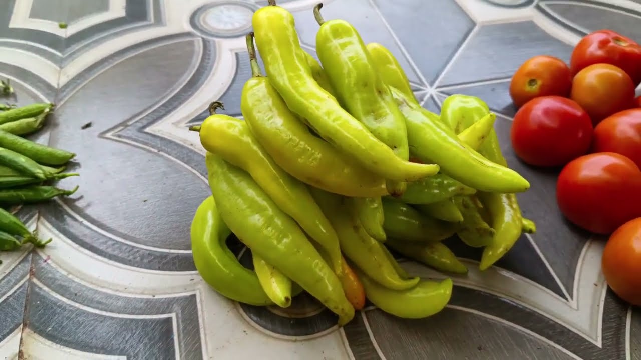 🛍️Vellore fresh vegetables marketing purchase#vlog#✨🛍️