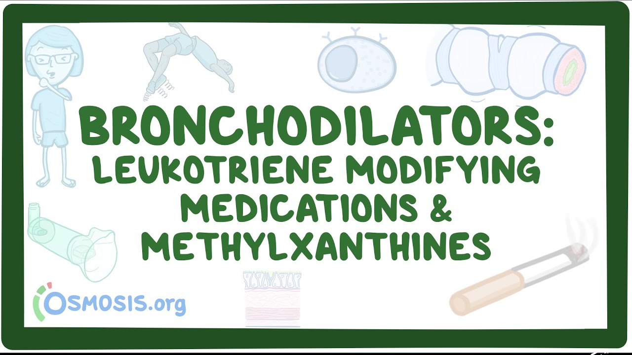 Bronchodilators: Leukotriene antagonists and methylxanthines