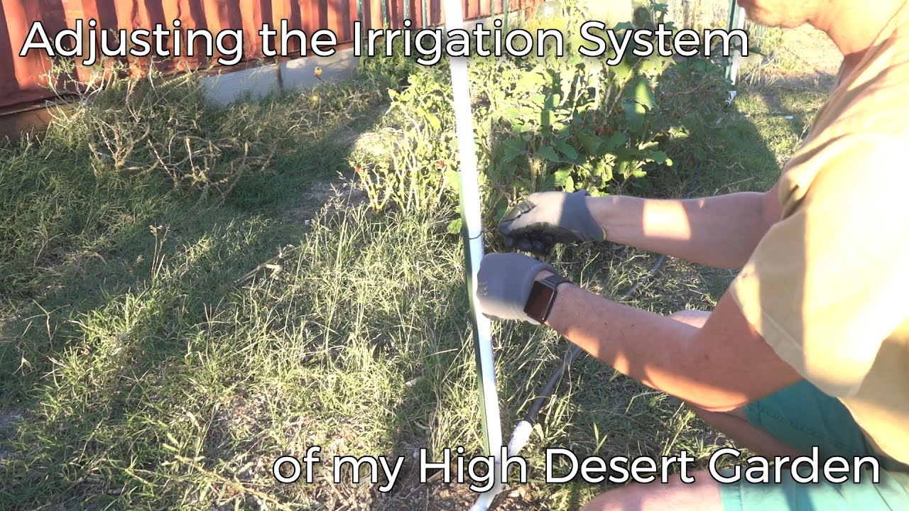 Adjusting the Irrigation System for my Desert Garden