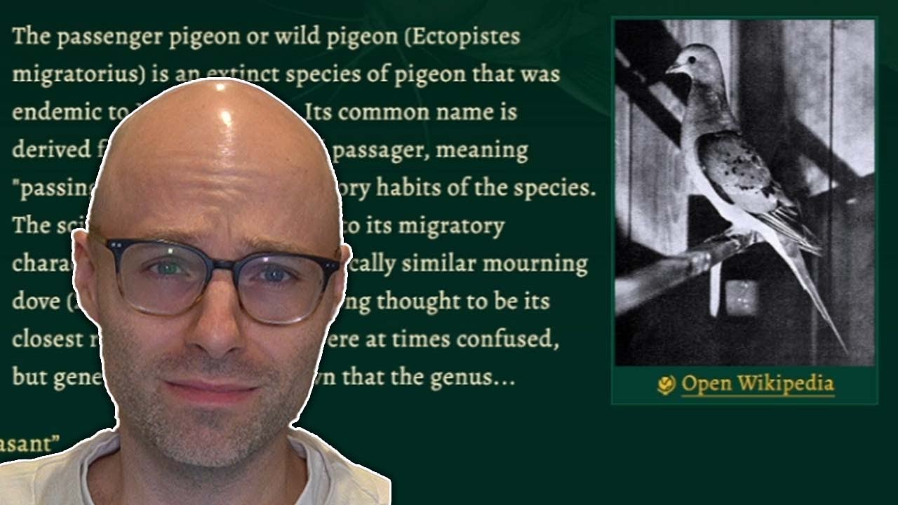 The smoothest brain on Twitch (Miscellaneous)