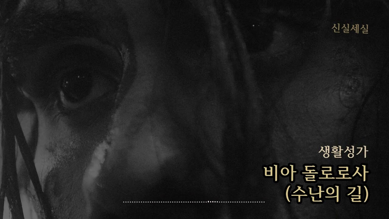 [생활성가] 비아 돌로로사(수난의 길) / 신실세실 / 사순 / Catholic Hymn / 마음의 묵상이 되는 성가