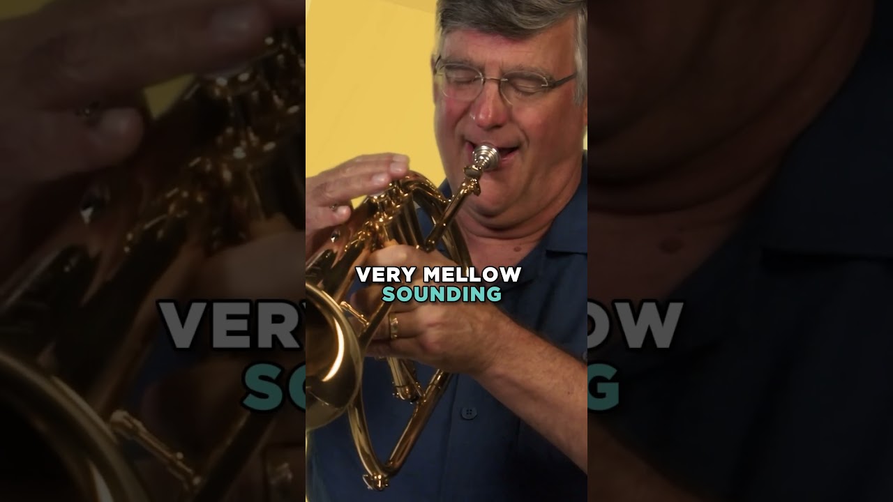 Jaka jest r&oacute;żnica pomiędzy trąbką, flugelhornem i trąbką piccolo?