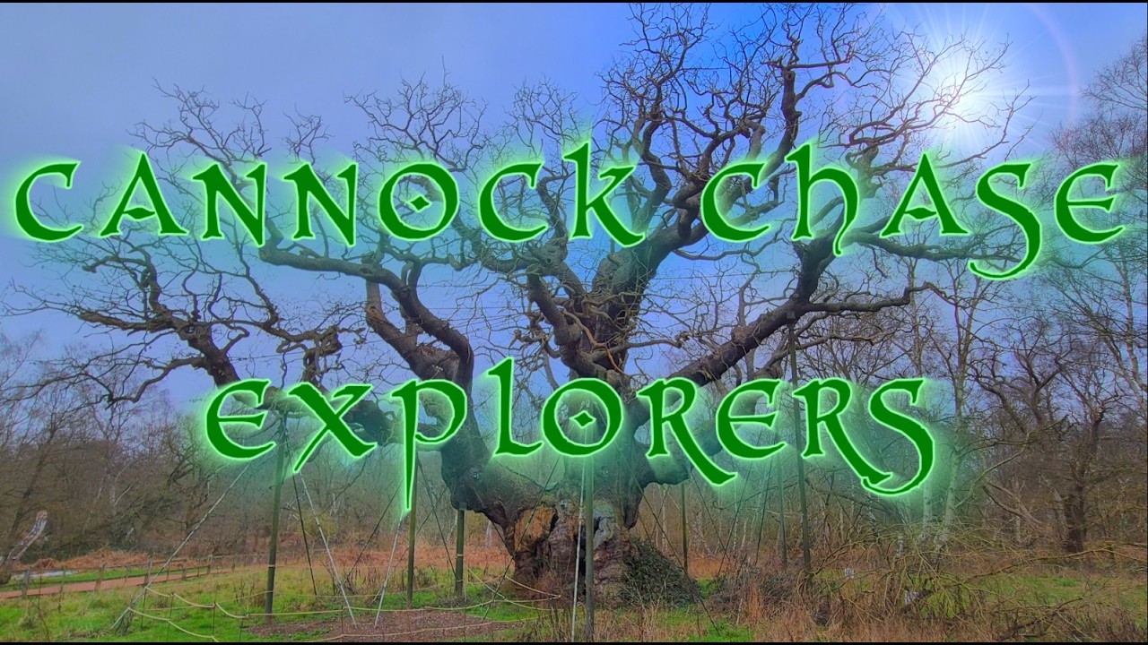 Sherwood Forest (The Major Oak) Did We Find Robin?....