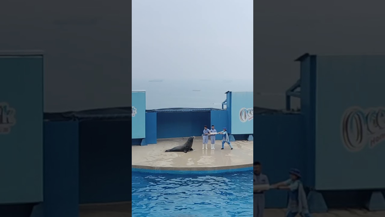 Dolphin Exploration Show. HK OP