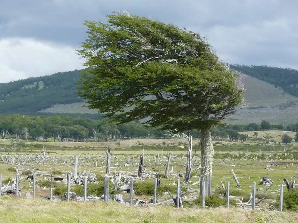 PATAGONIA : 