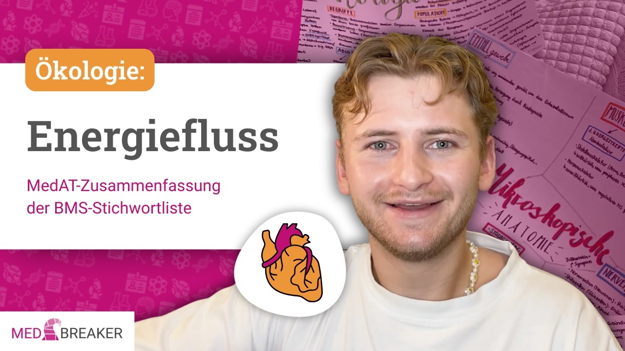 Energiefluss - &Ouml;kologie | MedAT-Zusammenfassung der BMS-Stichwortliste