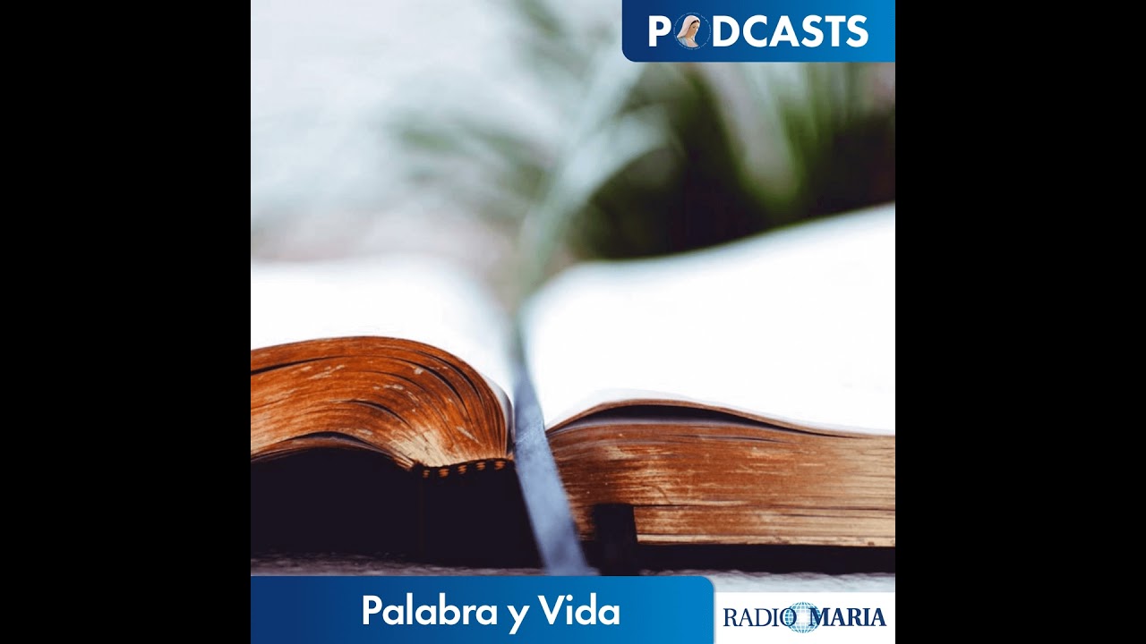 Palabra y Vida 10/02/26