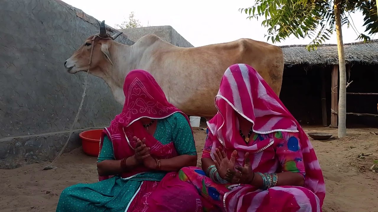 कन्हैयालाल का गीत 💯 Rajasthani geet Marwadi geet Rajasthanigeet Marwadigeet viral video new geet 