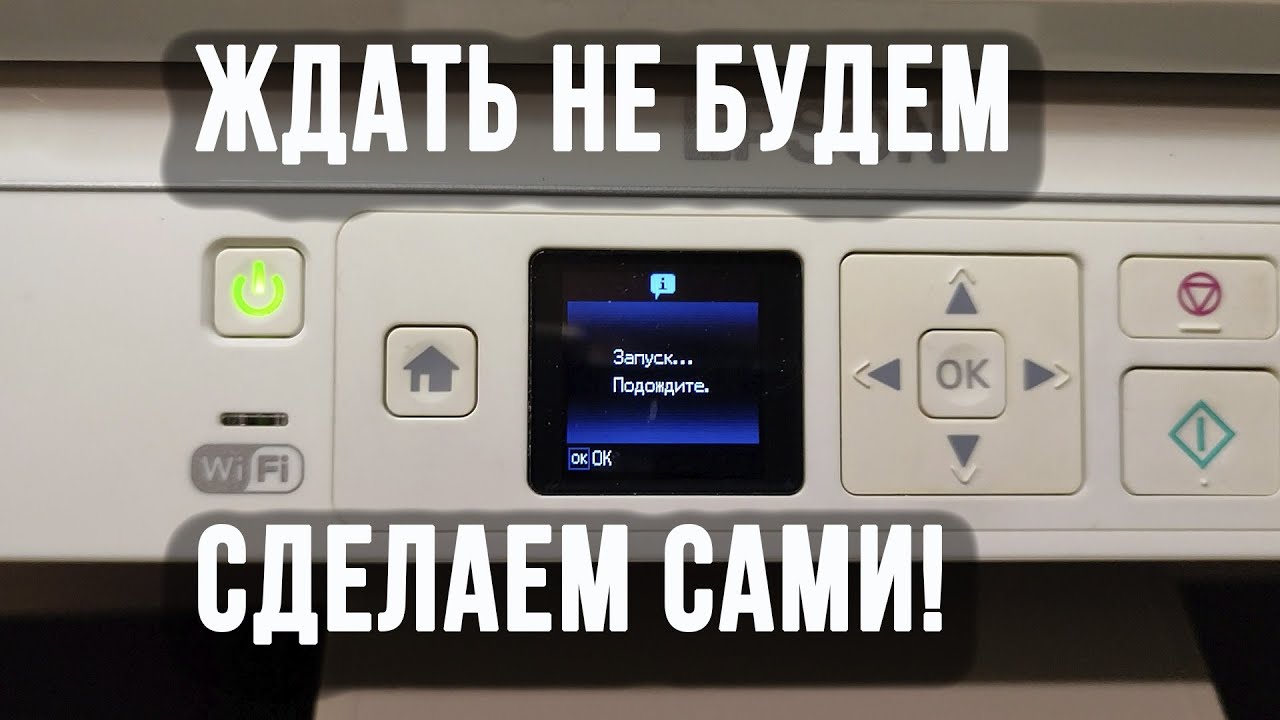 Замятие бумаги, разборка, чистка, профилактика на примере принтера Epson SX438
