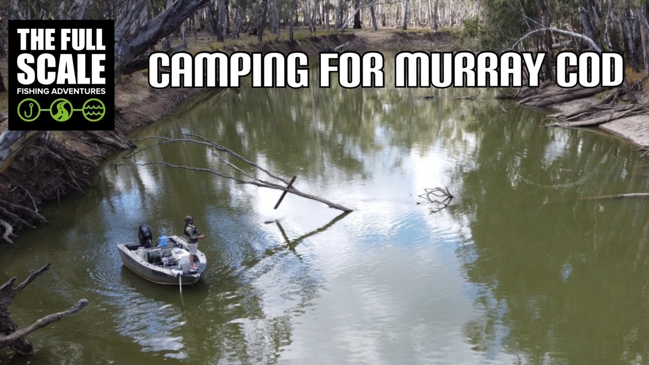 Camping For Murray Cod | The Full Scale