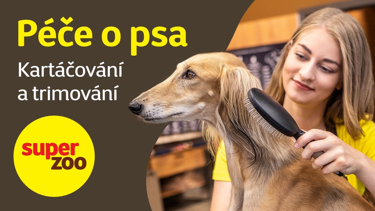 Péče o psa: Kartáčování a trimování | Super zoo
