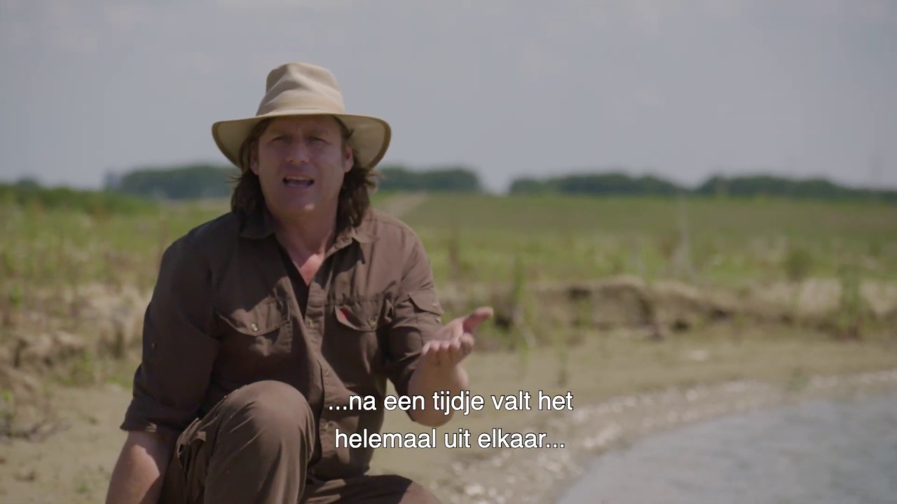 5 Oeroude schelpen