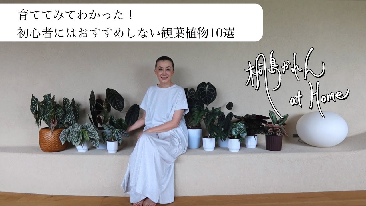 育ててみてわかった！初心者にはおすすめしない観葉植物10選