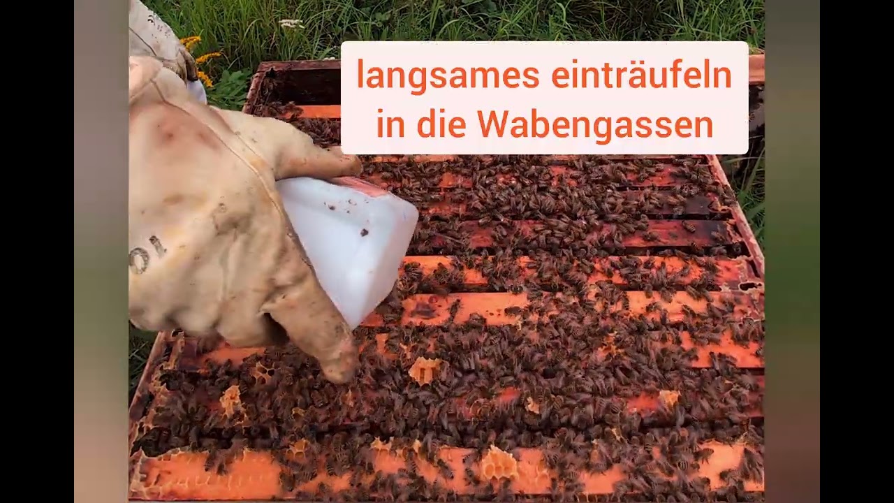 So geht Varroa-Behandlung !